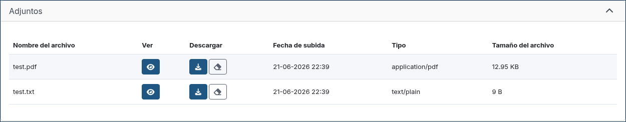 ../../_images/report_with_masking_enabled_files_detail.es.png