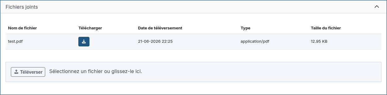../_images/report_files.fr.png