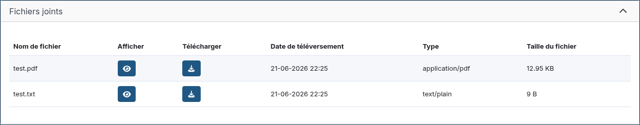 ../../_images/report_files.fr1.png