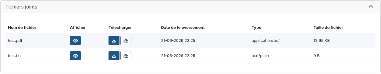 ../../_images/report_with_masking_enabled_files_detail.fr.png