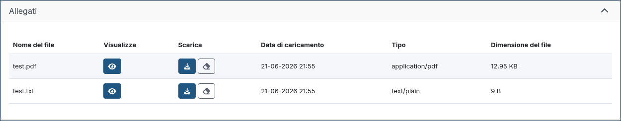 ../../_images/report_with_masking_enabled_files_detail.it.png